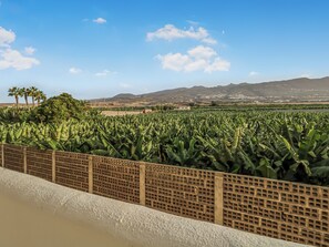 Property grounds - Marina Palace Atlantic View (Adeje)