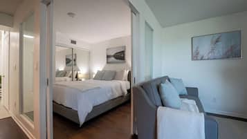 Iron/ironing board, free WiFi