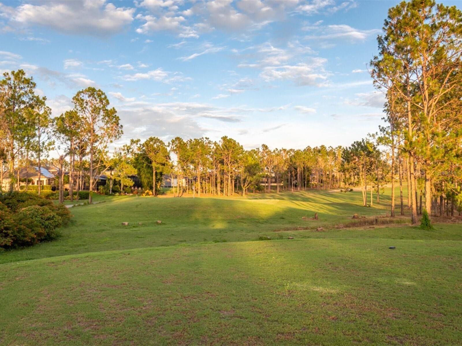 Um campo de golfe com um green bem cuidado, árvores e um céu limpo.
