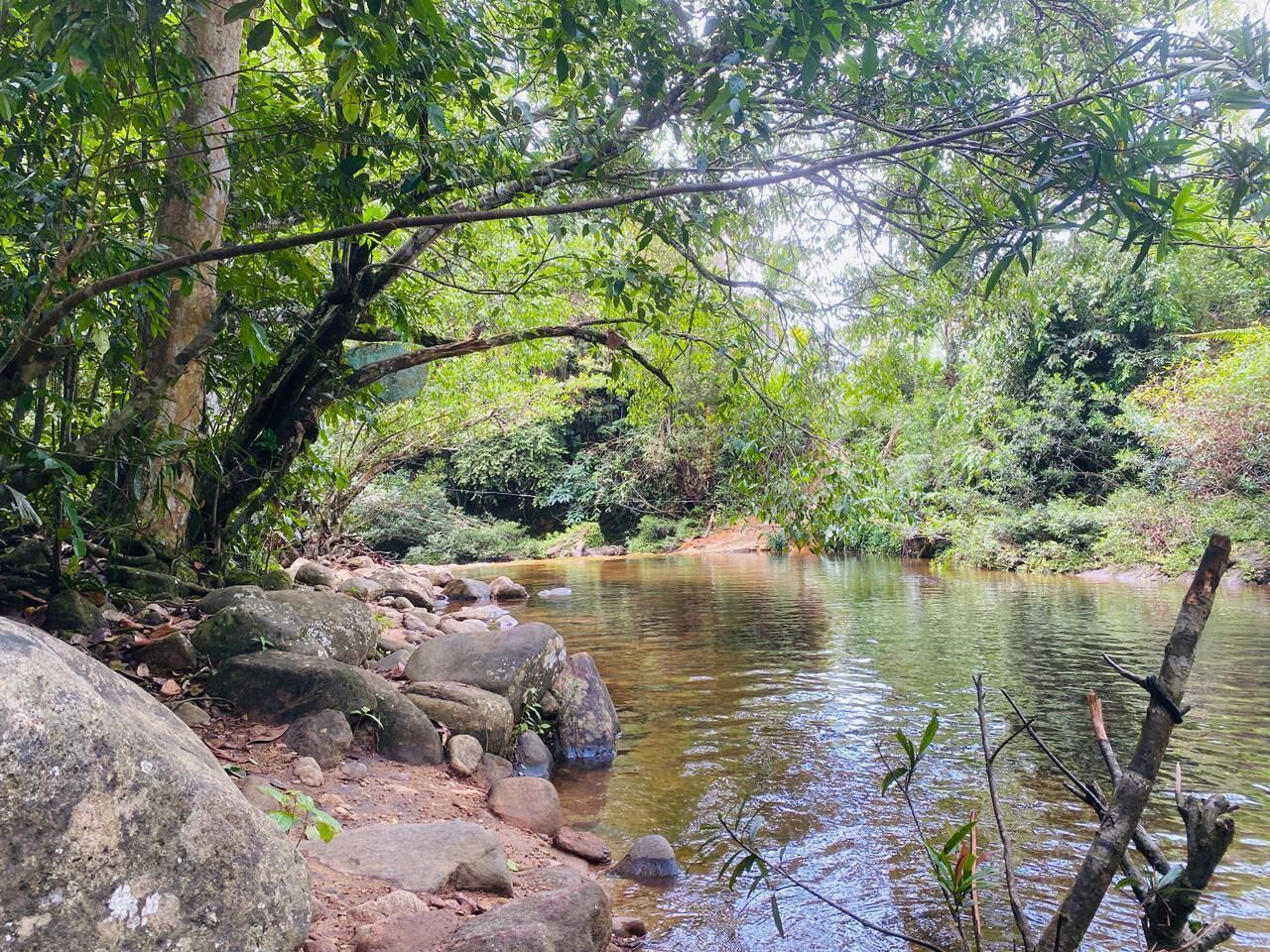 A natural landscape with a river, rocks, and dense greenery.