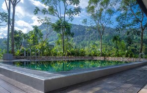 Outdoor pool - Rain Drops Wellness Villa Sinharaja (Mederipitiya)