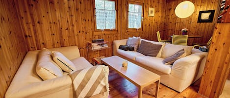Fernseher, Kamin, DVD-Player