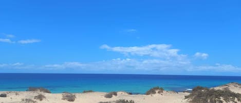 Scuba diving, windsurfing, surfing