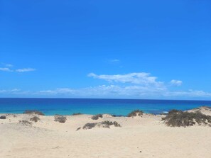 Dykning, windsurfing, surfing/bodyboarding