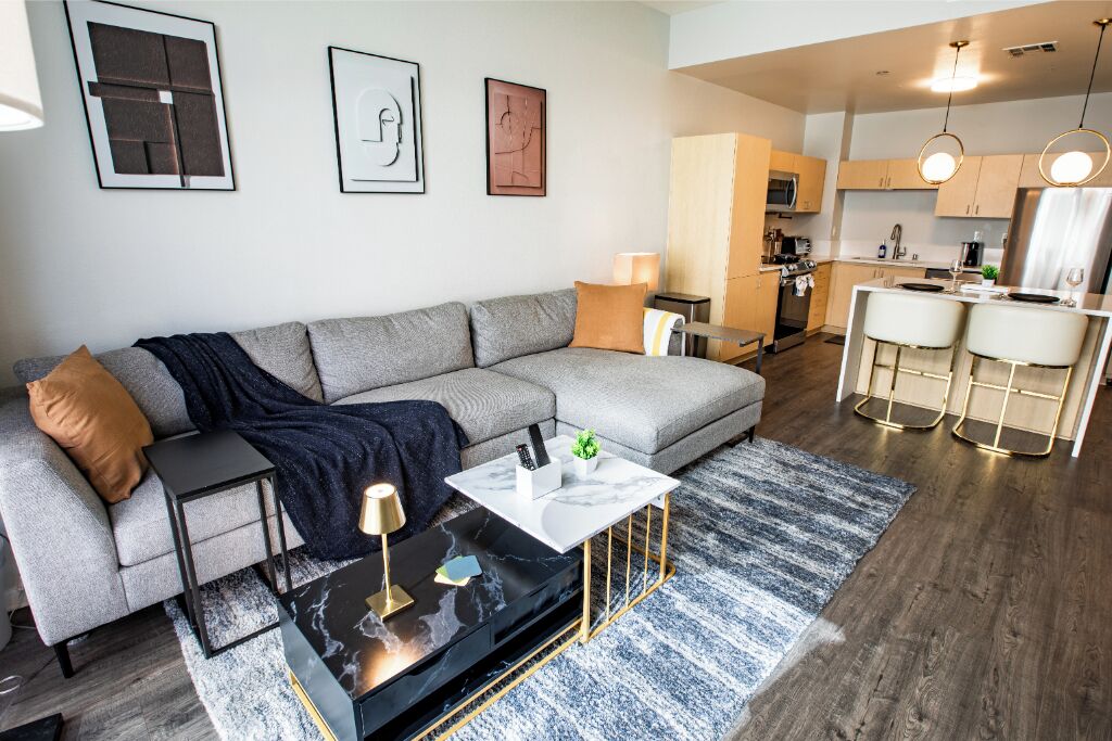 电视、电脑显示器