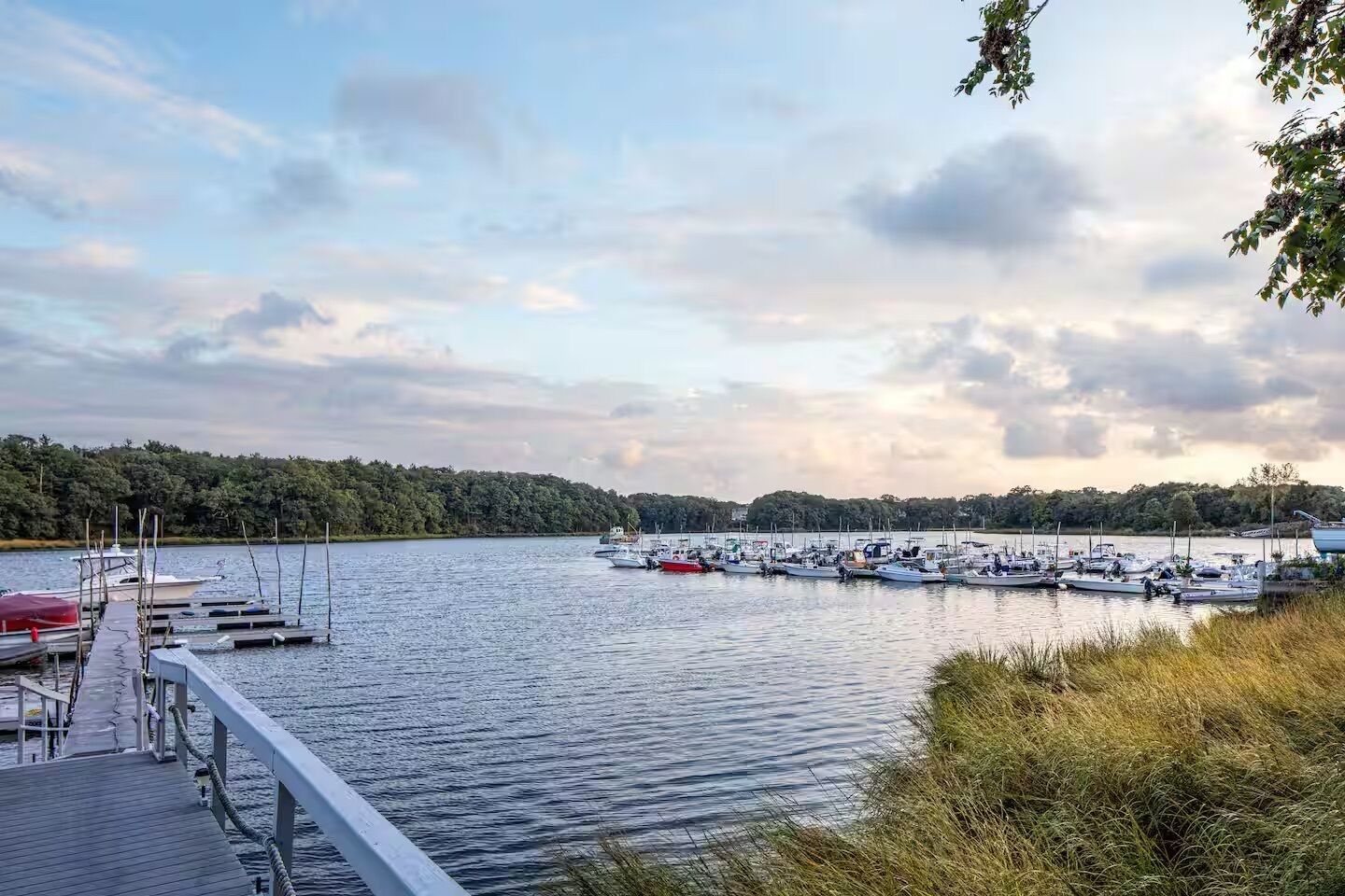 A marina with boats docked, a wooden dock, and a forested shoreline.