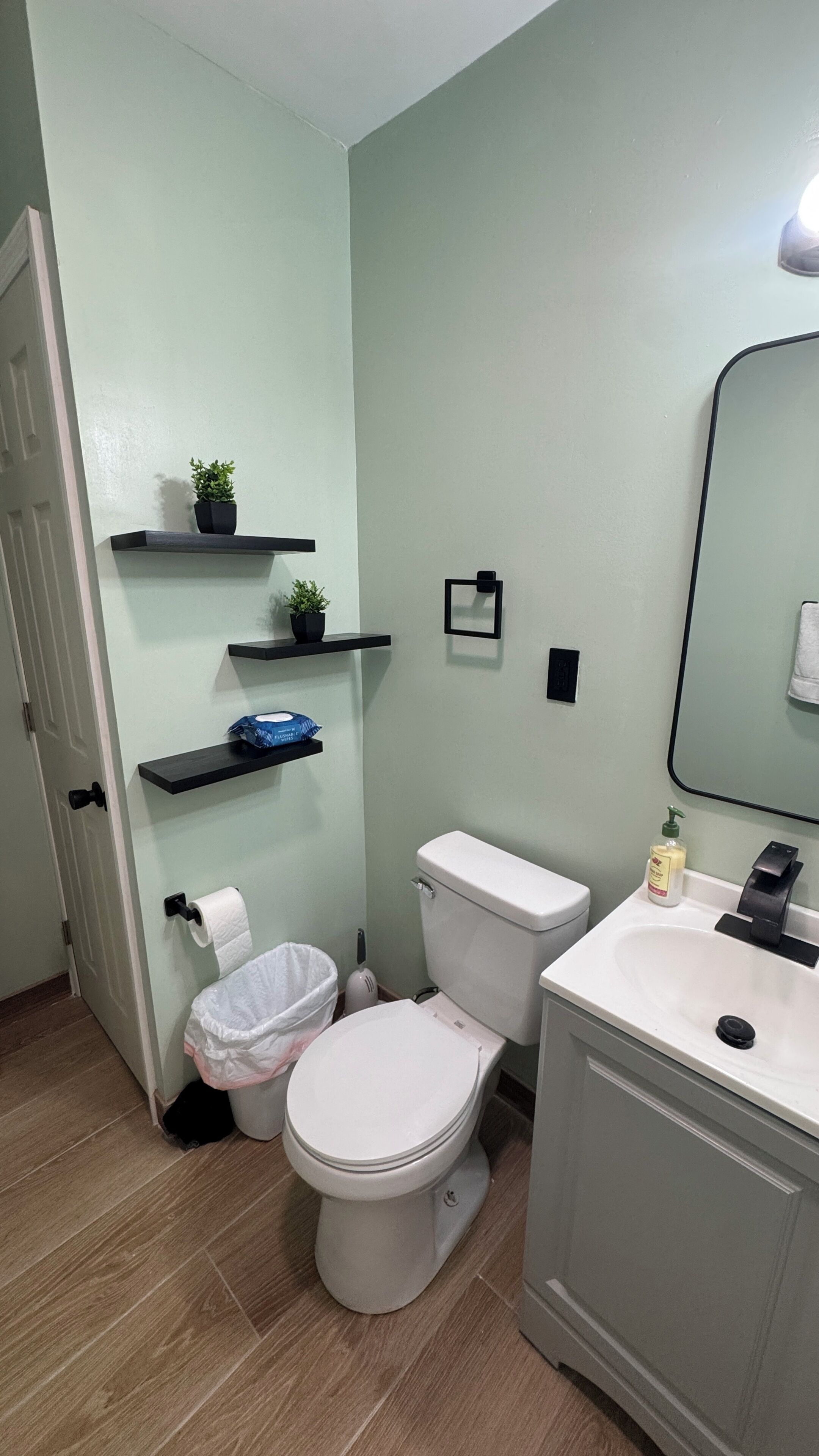 Et badeværelse med toilet, vask og to hylder med planter.