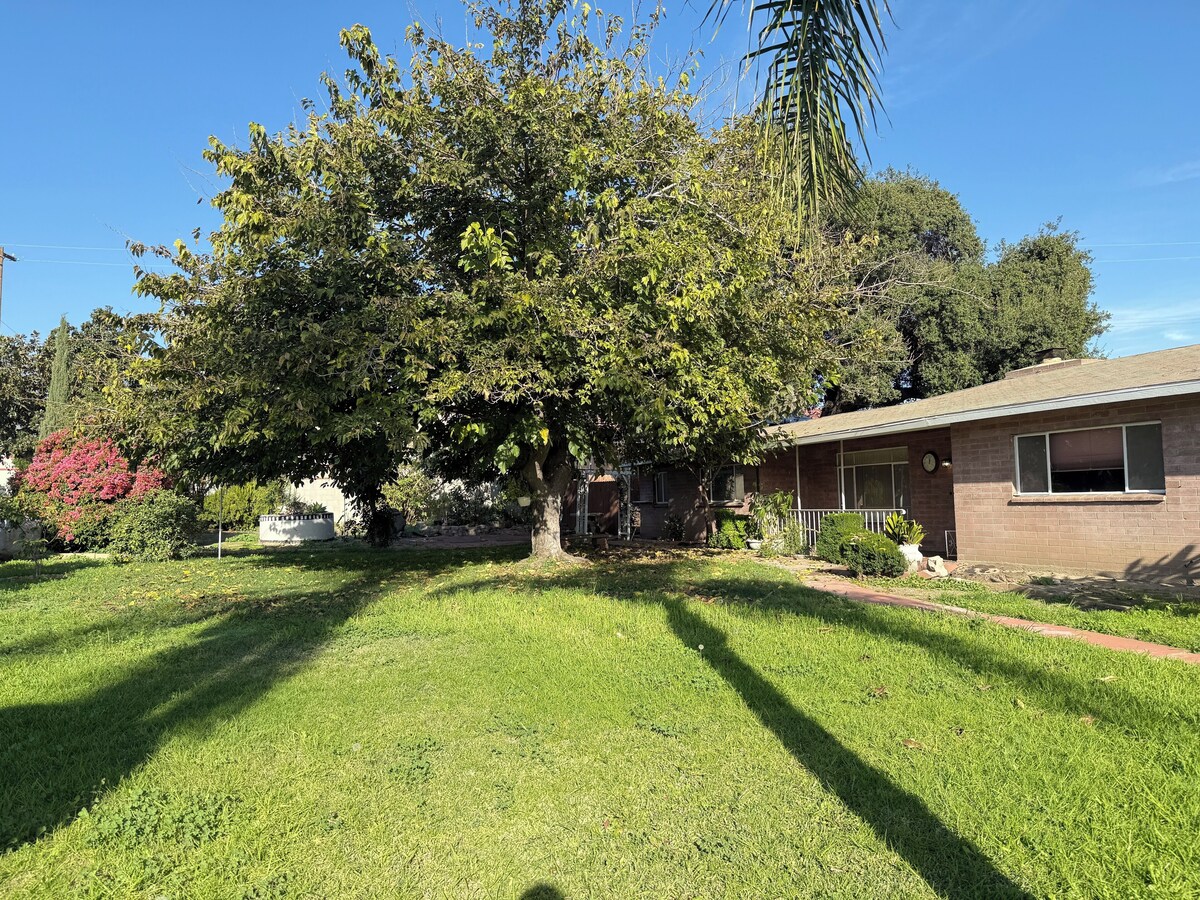 Imagen de perfil del propietario o de la propietaria