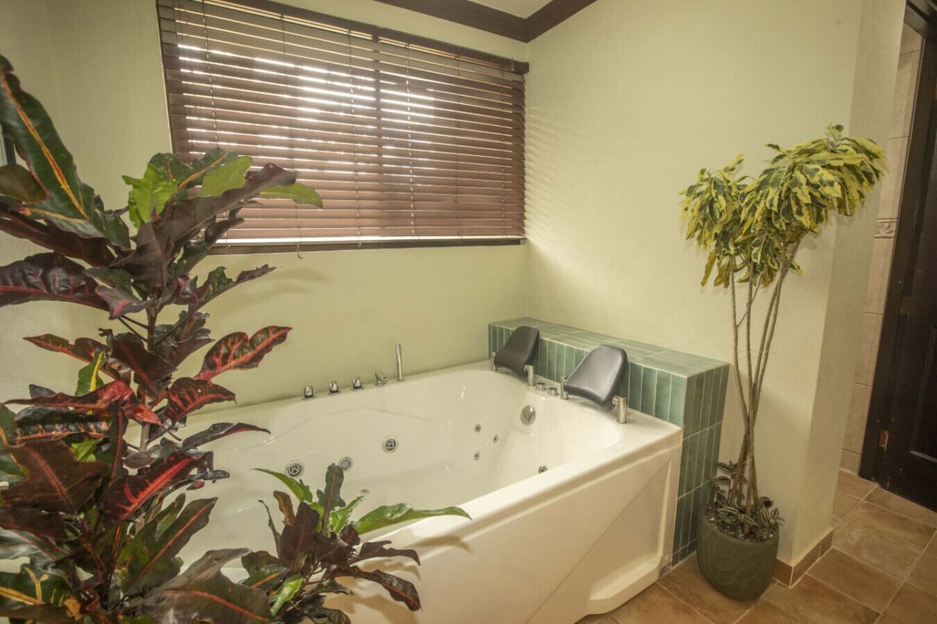 Douche, baignoire à jets, serviettes fournies, savon