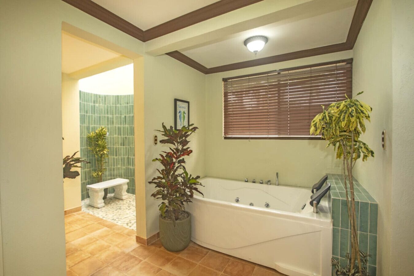 Regadera, tina de hidromasaje, toallas, jabón 