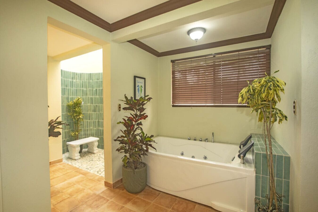 Douche, baignoire à jets, serviettes fournies, savon