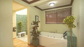 Douche, baignoire à jets, serviettes fournies, savon