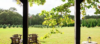 Marley: Cozy tiny cabin on Christmas Tree Farm in South Georgia