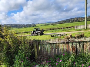 المنطقة المحيطة بالمنشأة