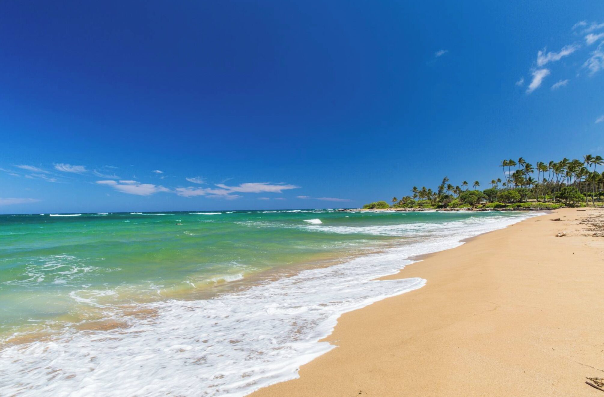 Deluxe Apartment, Non Smoking | Beach/ocean view