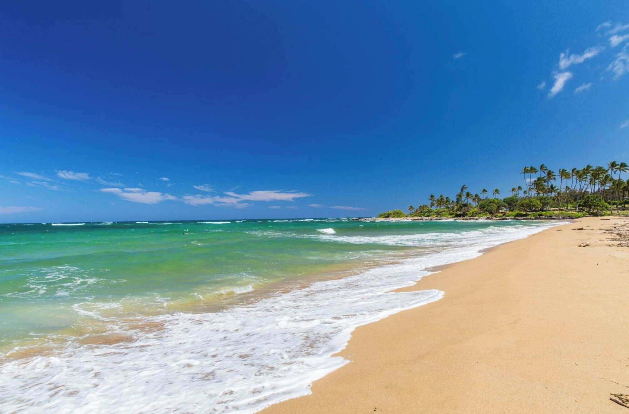 Deluxe-Apartment, Nichtraucher | Strand