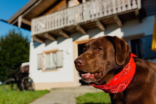 Ferienhaus im Landhausstil im Vital Camp Bayerbach