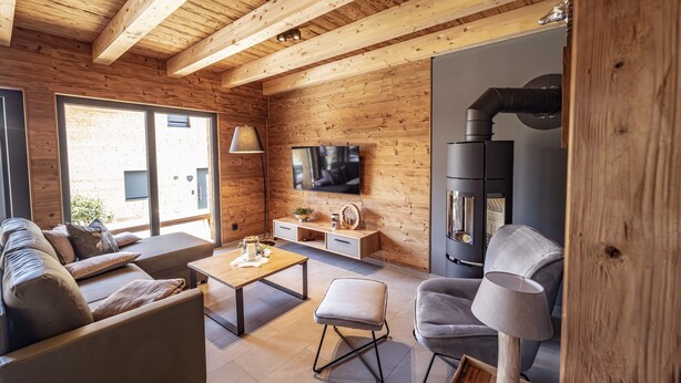 Un soggiorno moderno con soffitto in legno, un divano, un tavolino da caffè, una televisione e un camino.