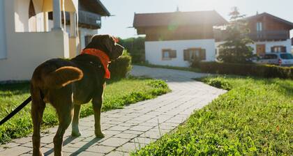 Ferienhaus im Landhausstil im Vital Camp Bayerbach