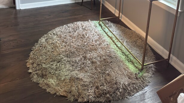 Una habitación con un tapete grande y redondo, una planta en maceta, un cuadro en la pared y una ventana con persianas.