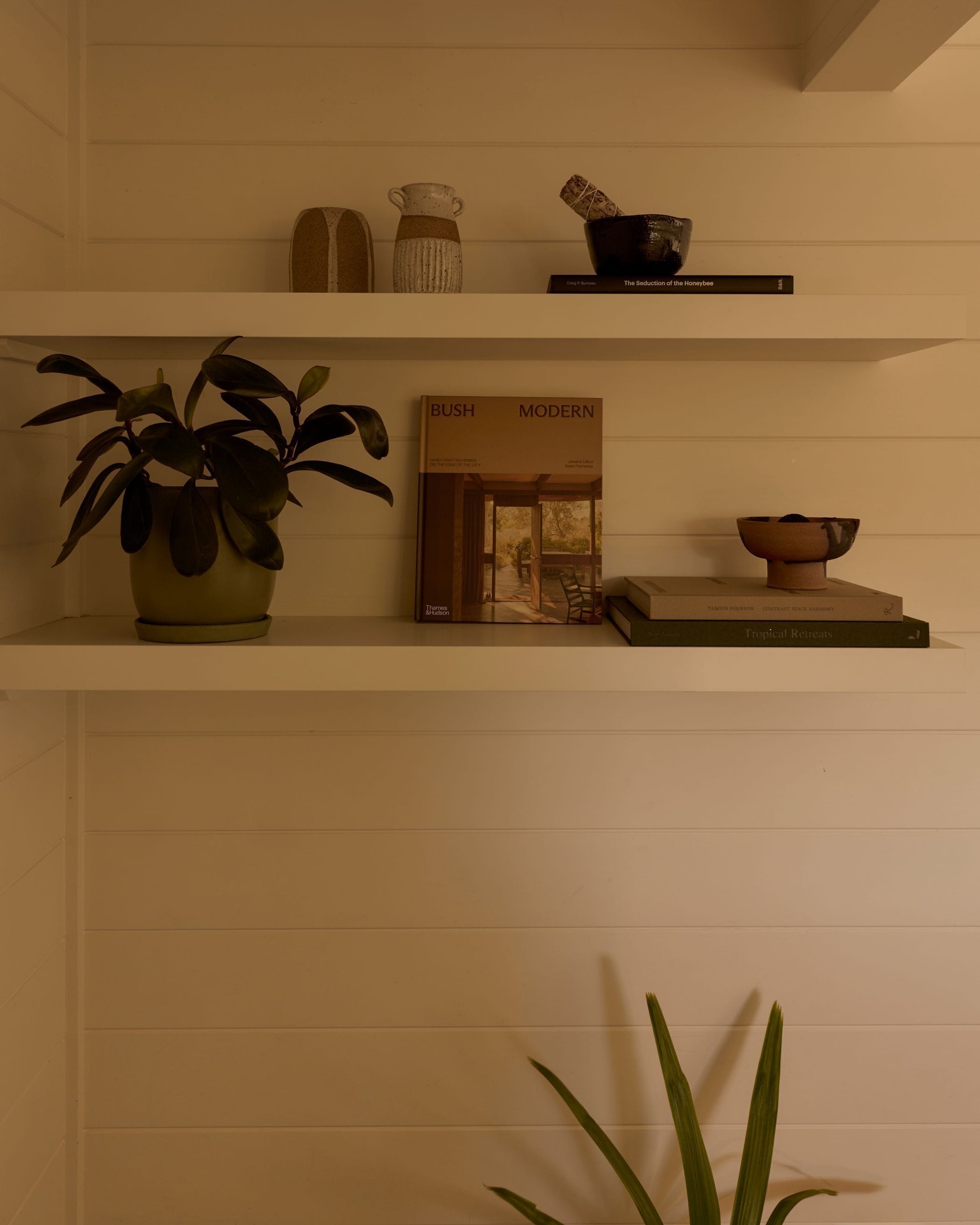 Een plank met een potplant, een boek getiteld 'BUSH MODERN' en een kom.