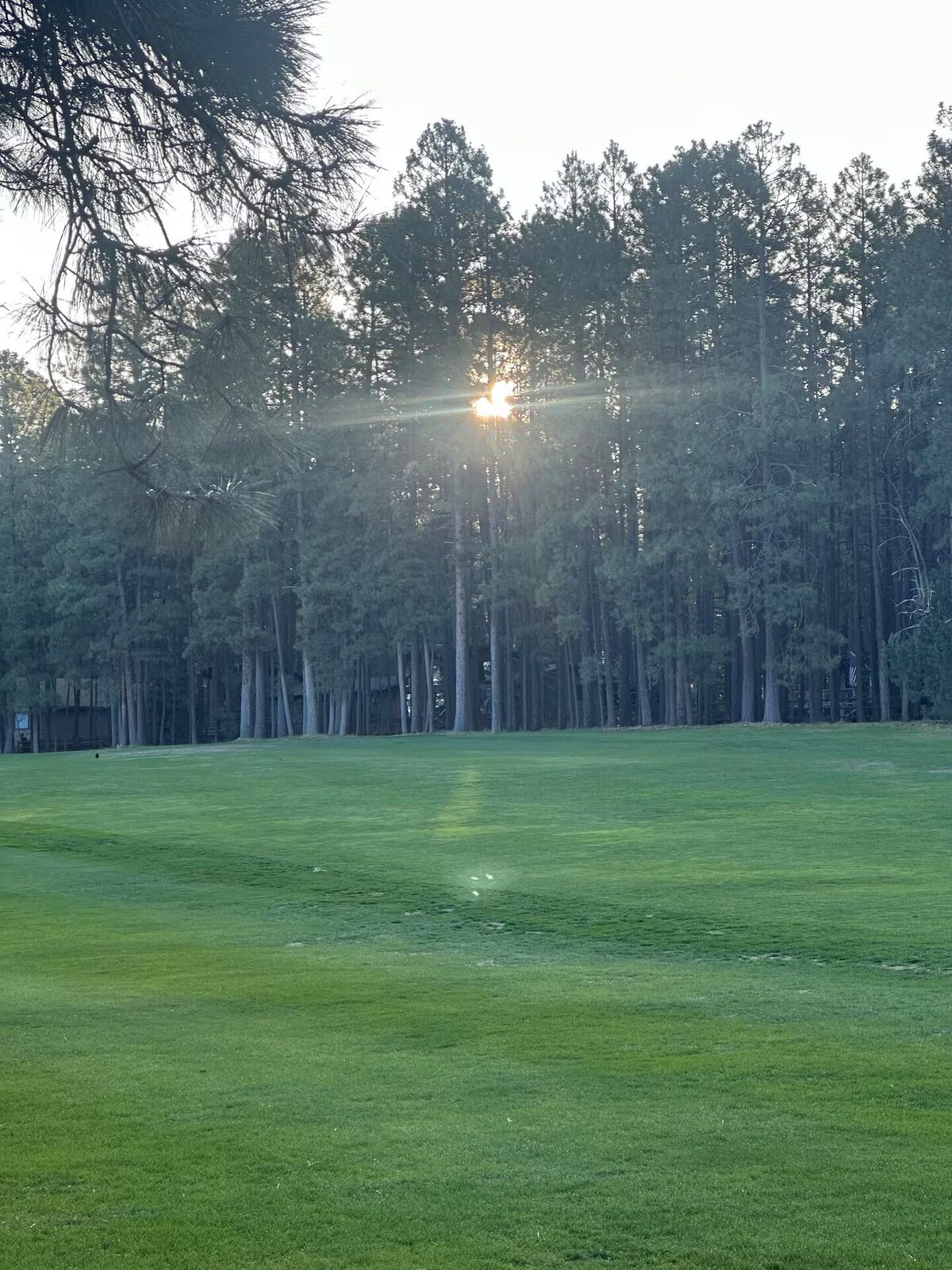 Imagen de perfil del propietario o de la propietaria