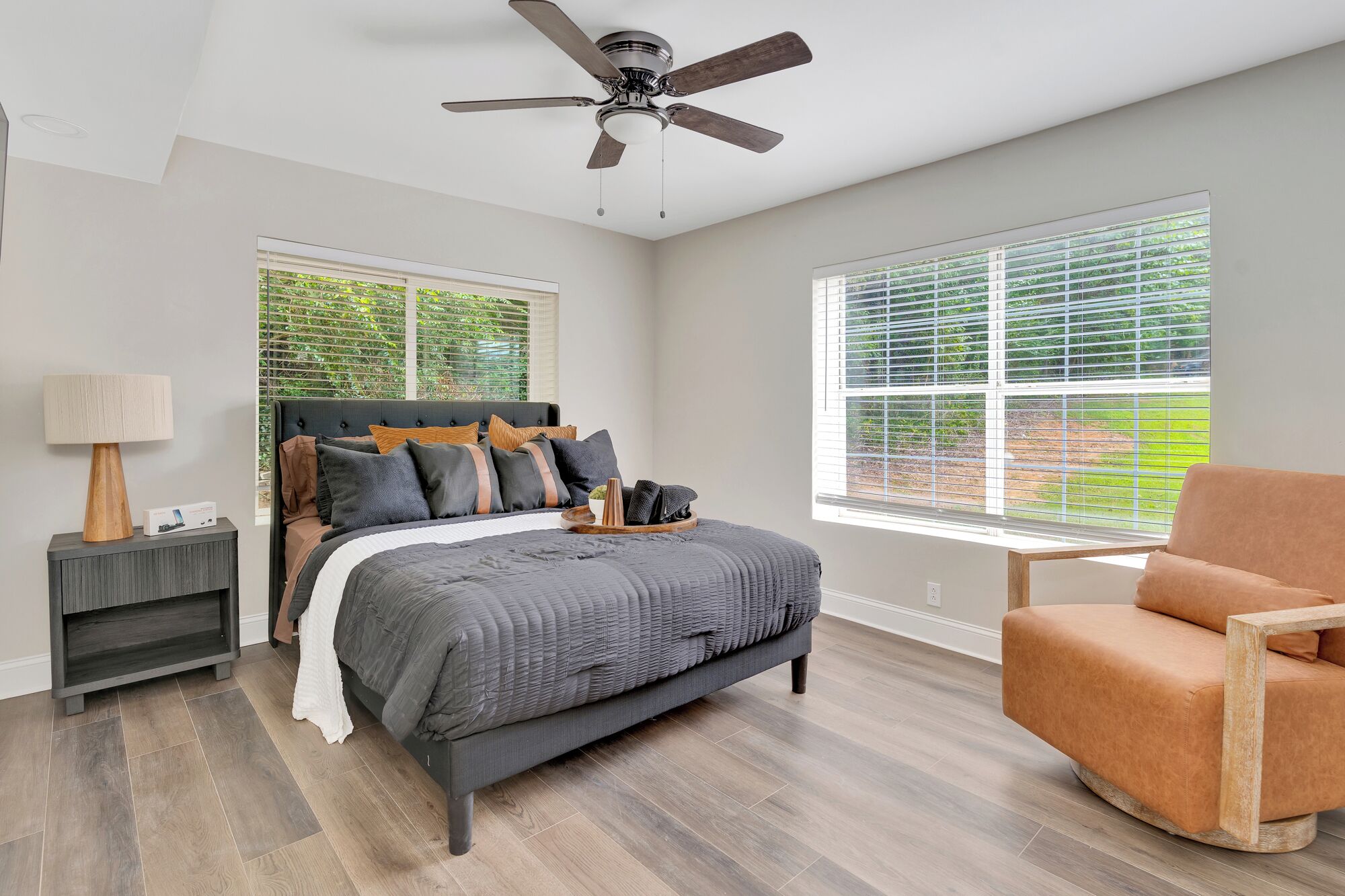 Fer et planche à repasser, accès Internet