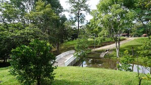 A serene park with a small bridge over a pond, surrounded by lush greenery and trees.