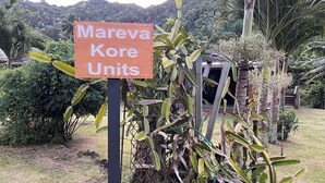 A sign for 'Mareva Kore Units' in a lush garden setting with tropical plants and a mountainous backdrop. - Mareva Kore Unit 1 (Avarua)