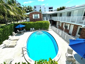 Pool - New Charming Apt - Walk to Beach, - Pool - Key Biscayne  FL (Key Biscayne)