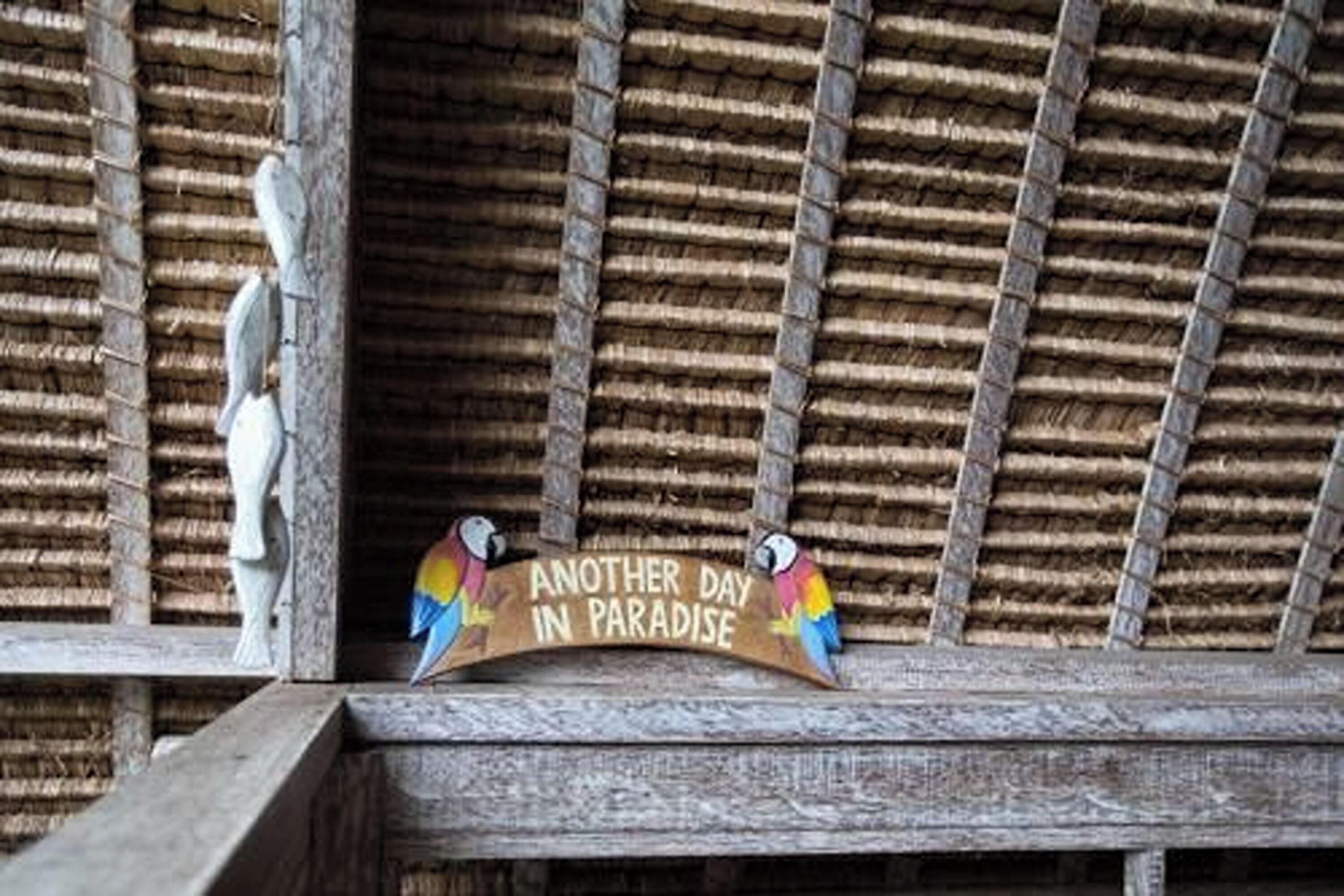 A wooden sign with parrots and the text "Another day in paradise" against a thatched roof background.