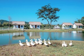 Exterior - Plenary Khao Kho (Khao Kho)