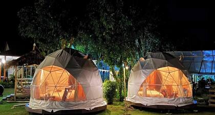 Lion Cafe Resort