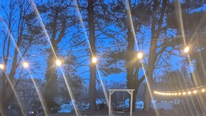 A rustic outdoor seating area with Adirondack chairs arranged around a fire pit, surrounded by trees and string lights. - Cozy 4-BR Getaway :Private yard, Gazebo & Grill,  (Fairfax)