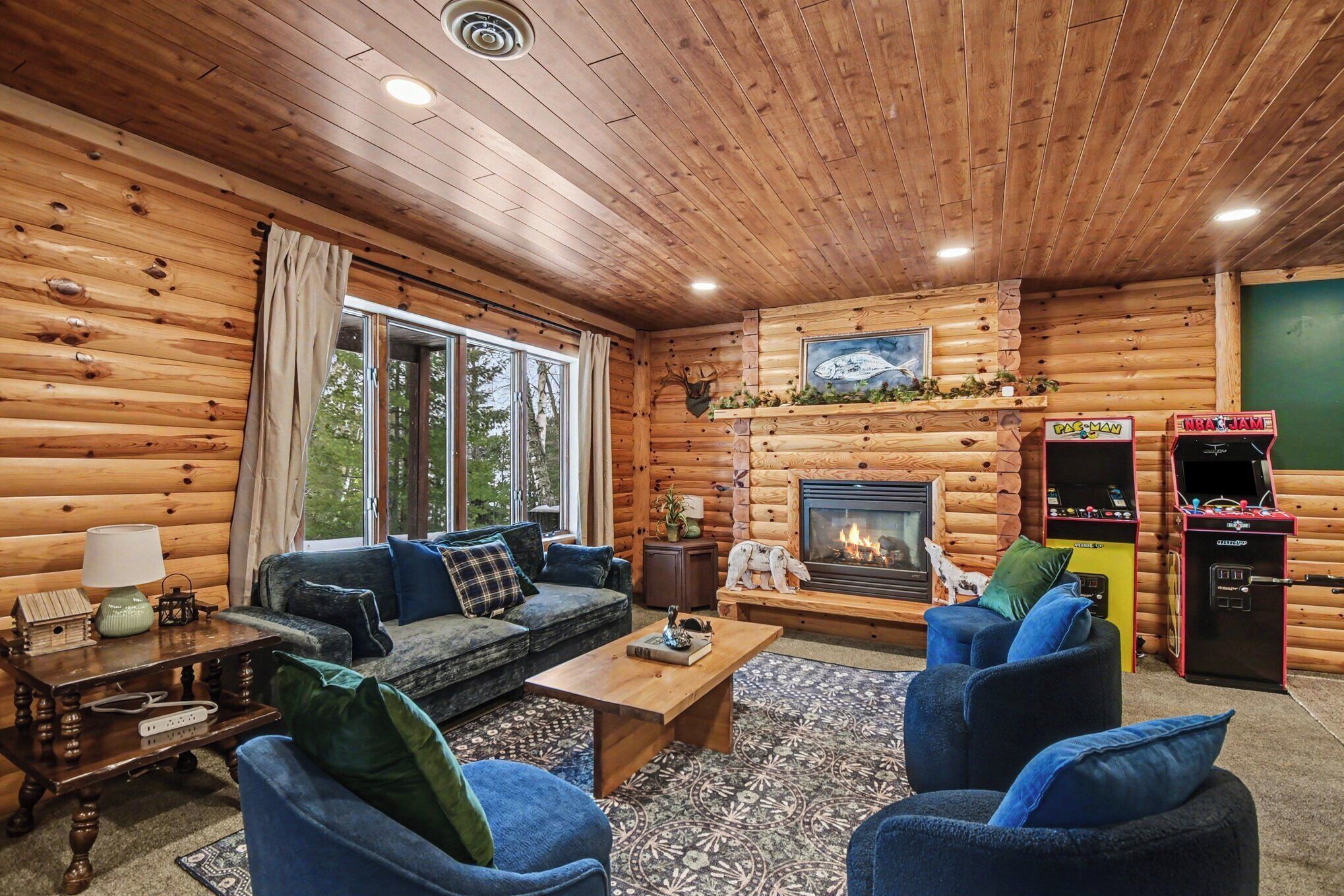 TV connectée, cheminée, jeux vidéo, livres