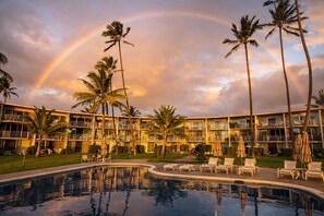 Outdoor pool - Oceanfront, cozy one bedroom condo in peaceful Ma'ili Cove, Oahu (Waianae)