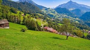 A rural landscape with a mountain, houses, and a clear sky. - Hotel Relais Alpin Twin Room Ski In-Out 9 135, Les Mosses, Switzerland (Les Mosses)