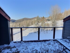 Property grounds - North Shore ski-in/ski-out loft pool + hot tub (Lutsen)