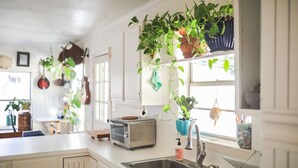 A kitchen with white cabinets, a double sink, a toaster, and various hanging plants. - Stylish Musician`s Flat With Creekside Garden (Austin)