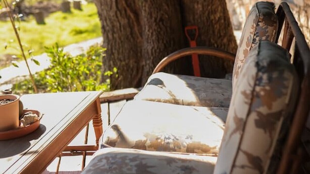 A wooden bench with floral upholstery, a potted plant, and a large tree in the background. - Stylish Musician`s Flat With Creekside Garden (Austin)