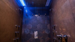 A shower with a hexagonal tile pattern and multiple faucets. - Loft Olé-Olé - Erotic Love Room & Barrel Sauna (CARSPACH)