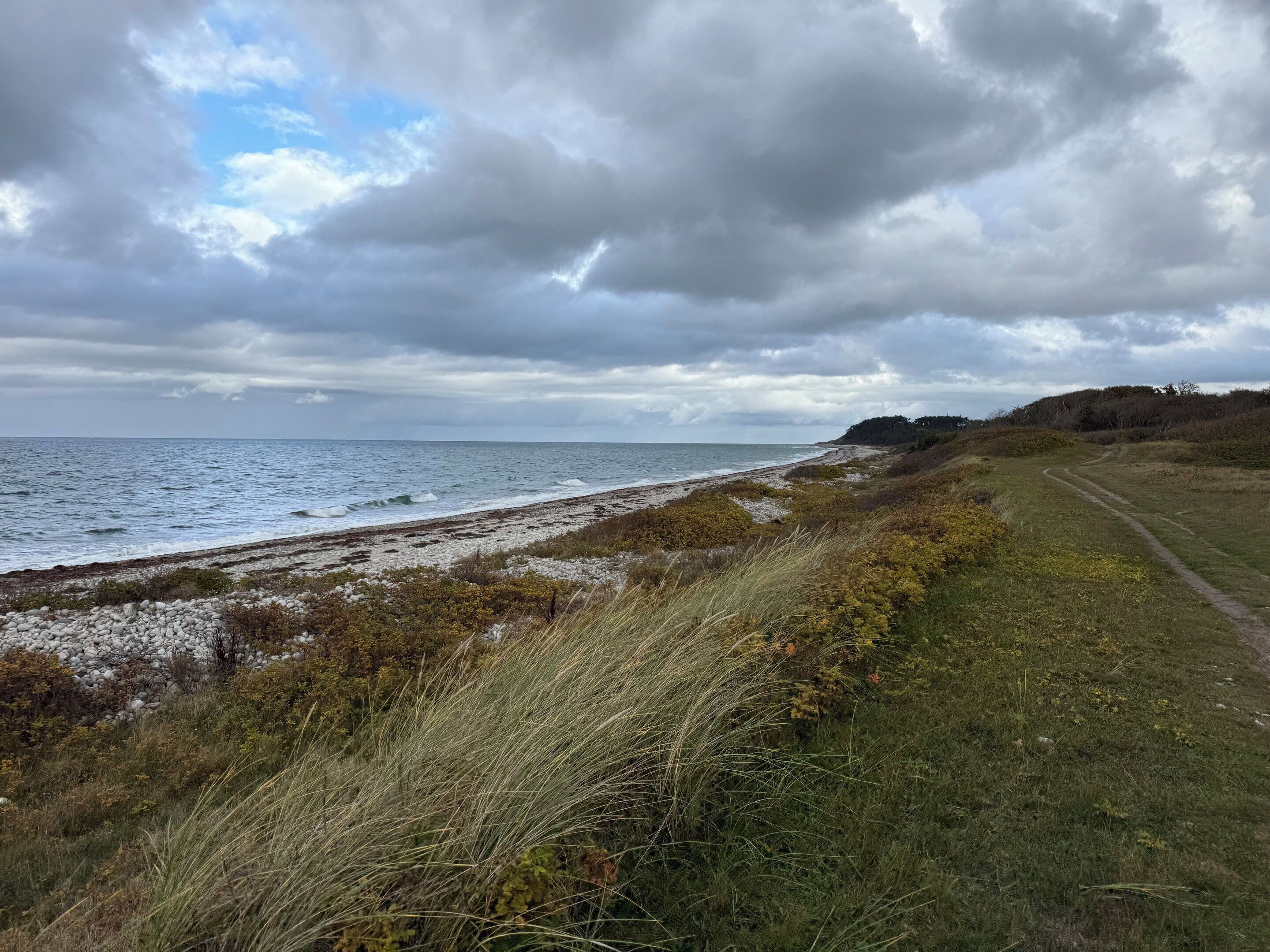 Strand