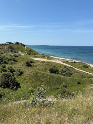 A coastal landscape with a dirt path leading to the beach, surrounded by grassy terrain and sparse vegetation.