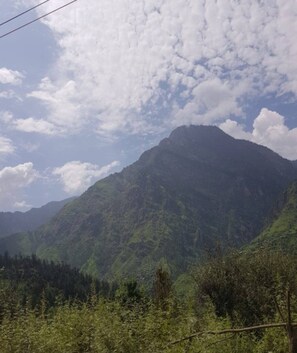 View from property - Mahadev River Side Camps (Kasol)