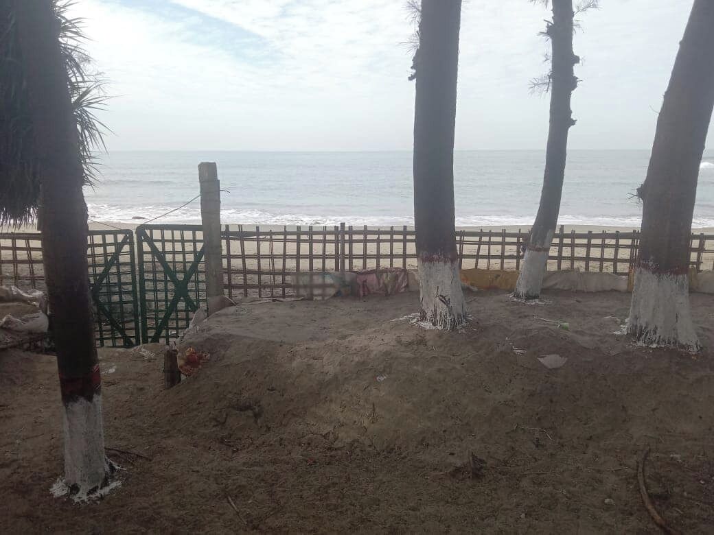A sandy beach area with a wooden fence and palm trees.
