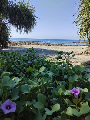 Una playa con follaje verde y una vista despejada del océano.