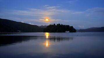 Miscelánea