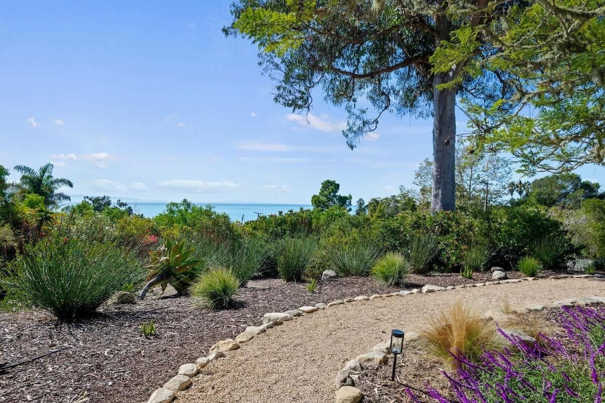 A landscaped garden with a variety of plants and a clear view of the ocean.