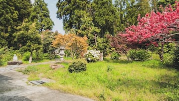 Terrain de l’hébergement