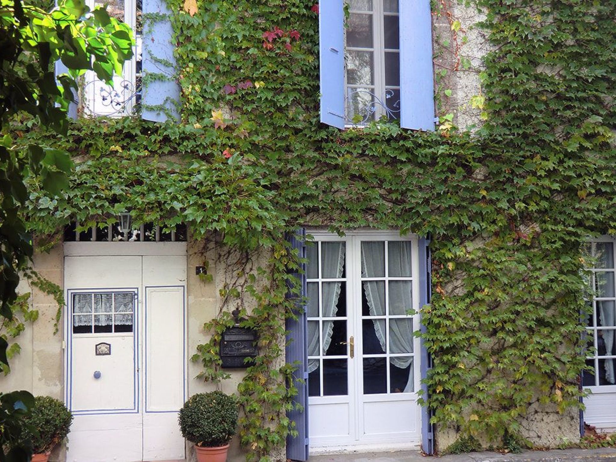 Detalle del exterior